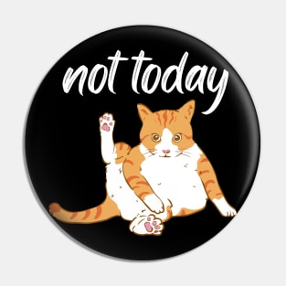 Lazy Cat Nope not Today funny sarcastic messages sayings and quotes Pin