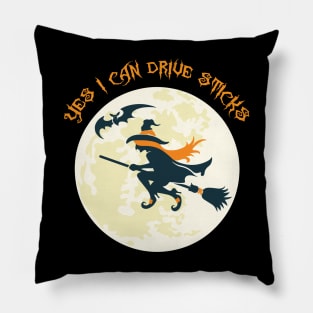 Sticks Witch Pillow