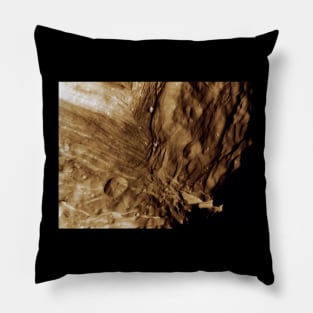 Surface Of Miranda Pillow