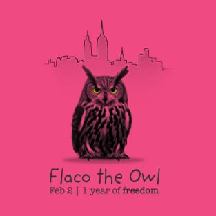 Flaco / 1 year of freedom T-Shirt