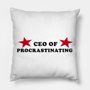 CEO of Procrastinating Pillow