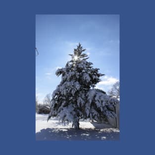 Snowy Evergreen tree with a Star T-Shirt