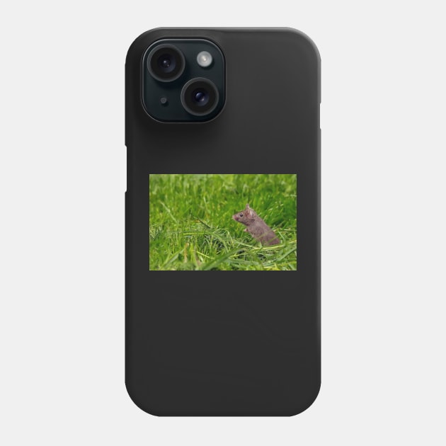 George the mouse on grass Phone Case by Simon-dell