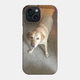 Molli Phone Case