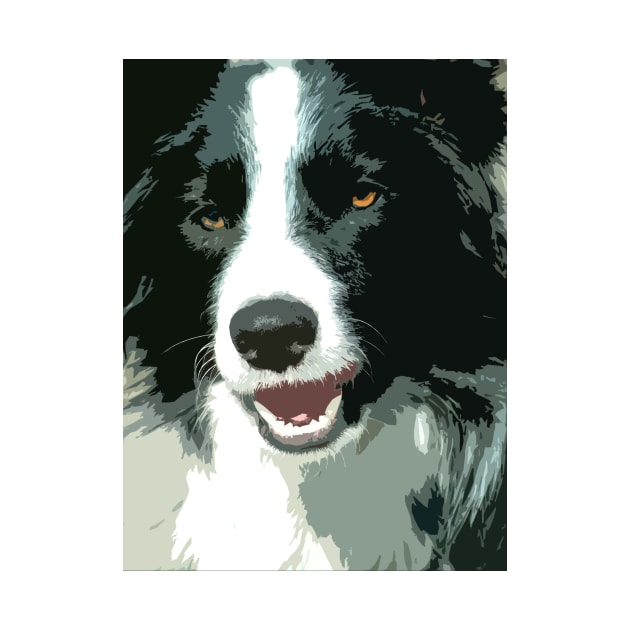 Border Collie Dog by Furtographic