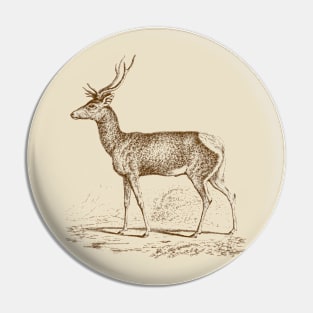 Deer Monochrome Vintage Wildlife Illustration Pin