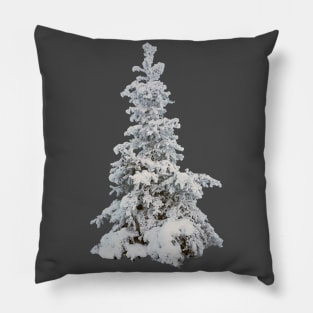 Frosty snow covered tree - winter spruce Pillow