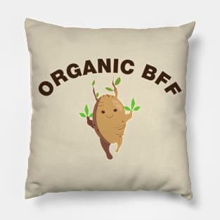 Organic Friend Pillow