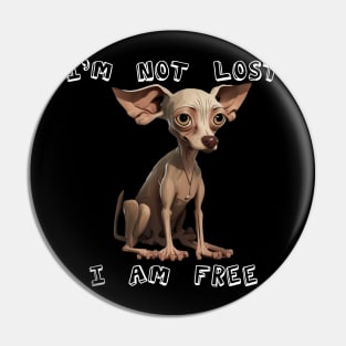 I´m not lost, I am free Pin