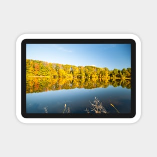 Beautiful Connecticat River lined by autumn foliage Magnet