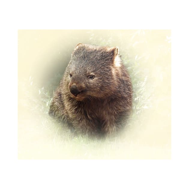 Wombat by Guardi