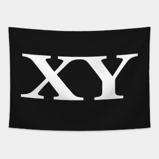 XY Chromosomes Tapestry