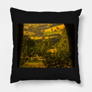 Wharfedale Pillow