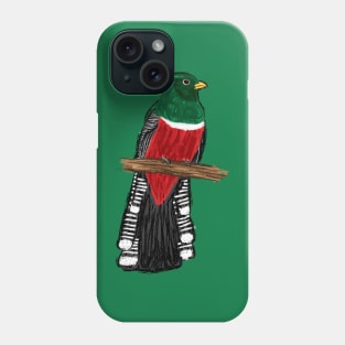 Artwork of a Collared Trogon I Phone Case