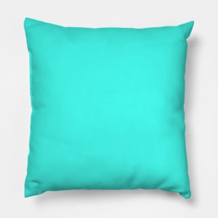 South Beach Art Deco Aqua Florida Colors of the Sunshine State Pillow