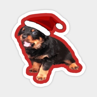 Cute Rottweiler Puppy Wearing Cartoon Santa Hat Magnet