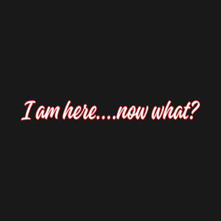 Im here, now what? T-Shirt