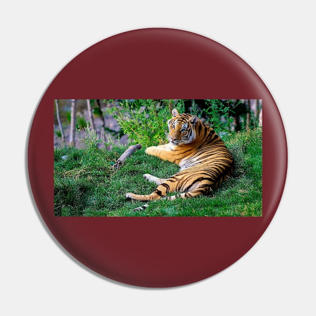 Wild life design Pin by GenesisClothing