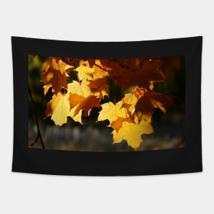 Golden Maple Leaves Tapestry