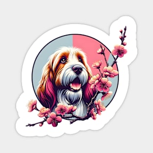 Petit Basset Griffon Vendeen's Spring Cherry Blossoms Joy Magnet