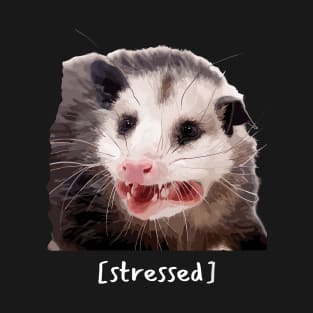 Opossum Stressed Funny Street Cat Meme T-Shirt