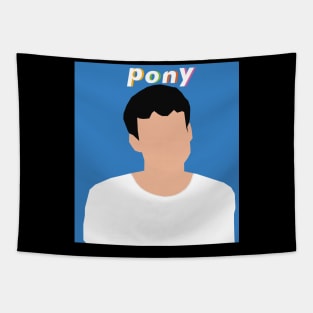 Pony Tapestry