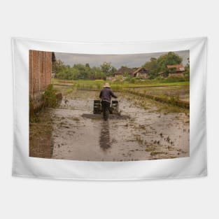 A man in backside view plows a village rice field. Tapestry