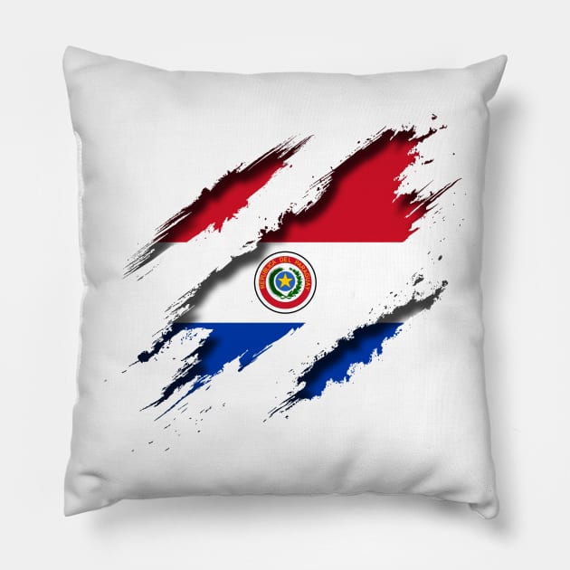 Paraguay Shredding Pillow by blackcheetah