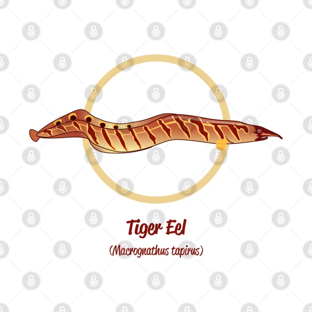 Tiger Eel by Reefhorse