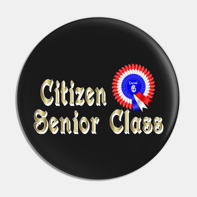 Citizen Senior Class Level 6 Award Baby Boomer Time Pin by hispanicworld