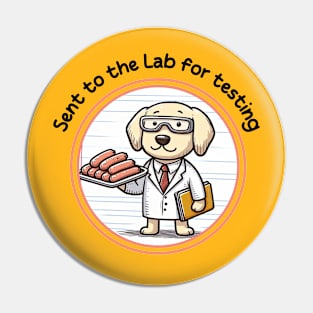 Sent to the lab for testing Pin