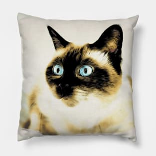 Siam Cat Pillow