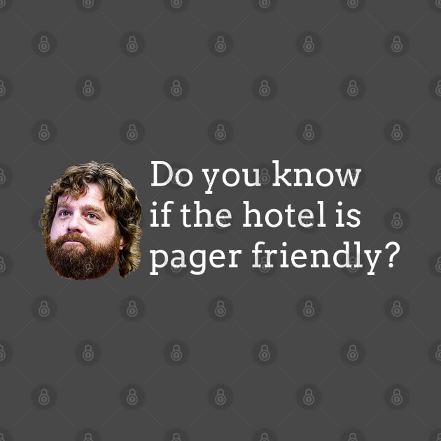 Do you know if the hotel is pager friendly? by BodinStreet