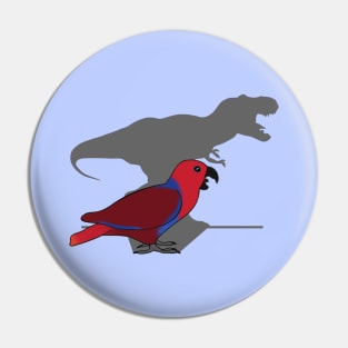 t-rex shadow - female eclectus parrot Pin