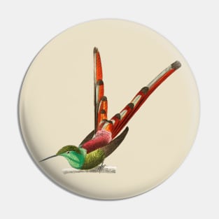 Vintage red-tailed comet bird Pin