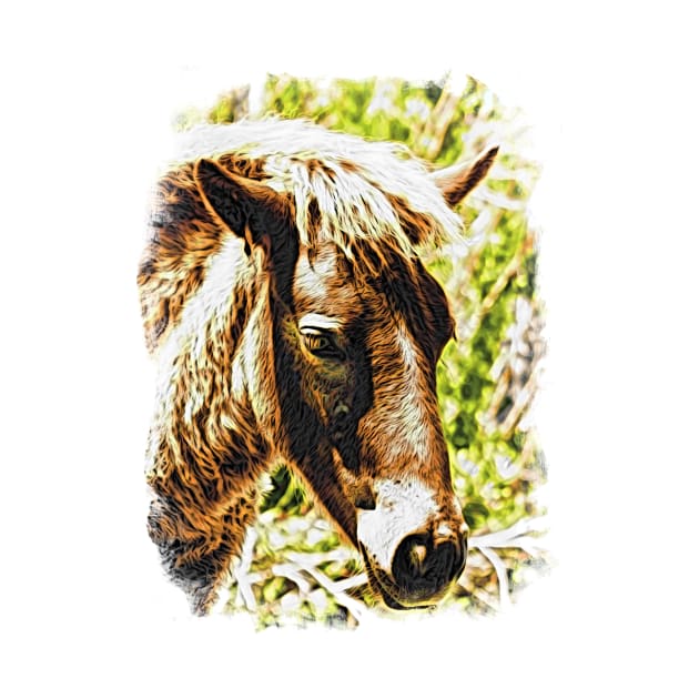 Assateague Pony Wyld Wynds Colt Watercolor by Swartwout