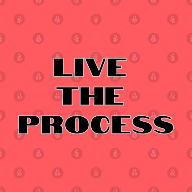 Live the Process, Lean Six Sigma by Viz4Business