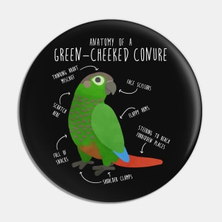 Green Cheek Conure Anatomy Pin