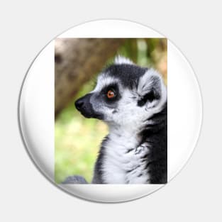 Ring Tailed Lemur Pin