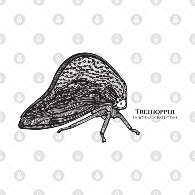 Treehopper with Common and Latin Names - bug on white by Green Paladin