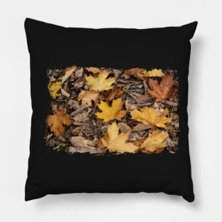 Colorful leaves - Fall, Autumn Pillow