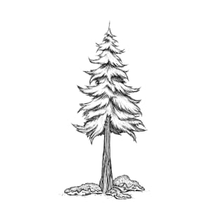 Redwood Tree T-Shirt