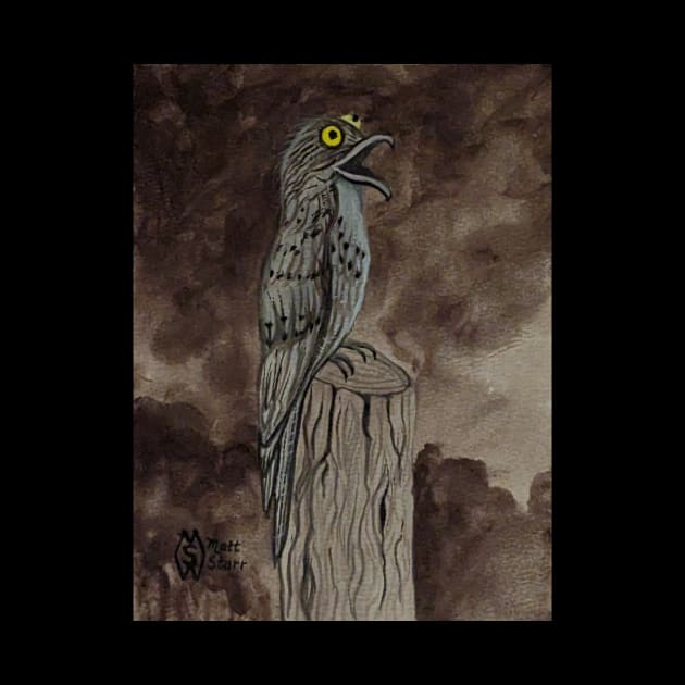 The potoo hunting at night by Matt Starr Fine Art