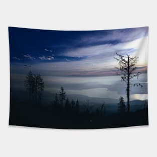 Nature photography landscape lakeview Tapestry