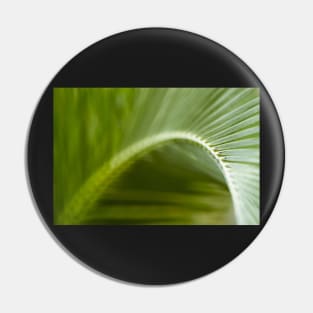 Palm Leaf Pin