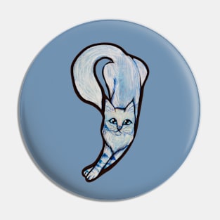 Kitty Cat Pin