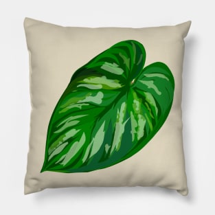 Philodendron 'Plowmanii' Pillow