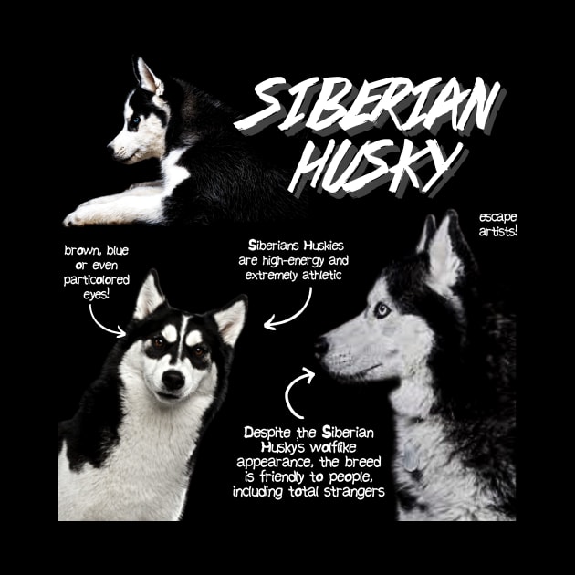 Siberian Husky Fun Facts by Animal Facts and Trivias