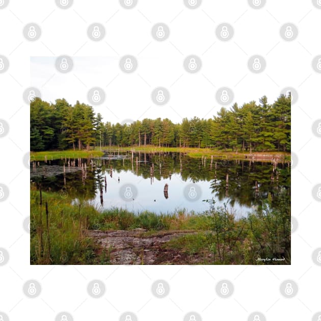 Beaver Pond Frontenac Provincial Park No.2 by MaryLinH