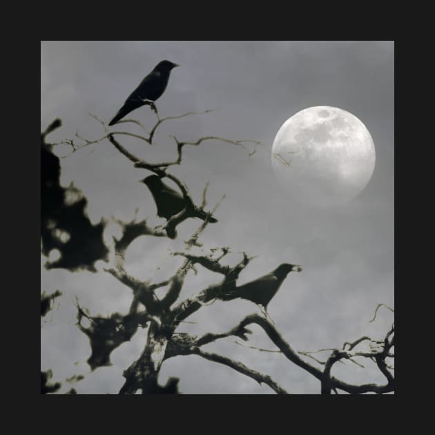 Crows Under A Full Moon by JimDeFazioPhotography